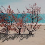 20150502_110955