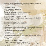 maschere adulti (1)