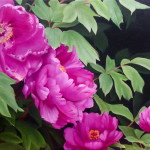 20160102_100702